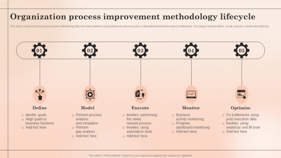 Organization Process Improvement Methodology Lifecycle Summary PDF Organization Process Improvement Methodology Lifecycle Summary PDF