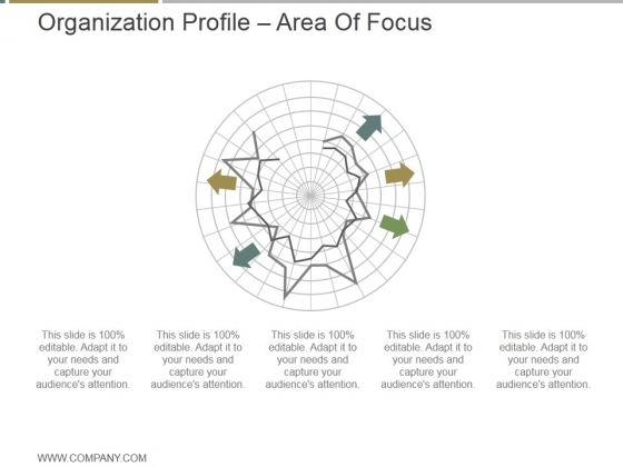 Organization Profile Area Of Focus Ppt PowerPoint Presentation Visual Aids Organization Profile Area Of Focus Ppt PowerPoint Presentation Visual Aids