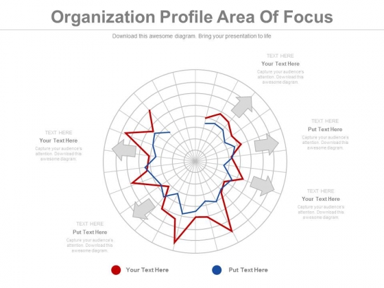 Organization Profile Area Of Focus Ppt Slides Organization Profile Area Of Focus Ppt Slides