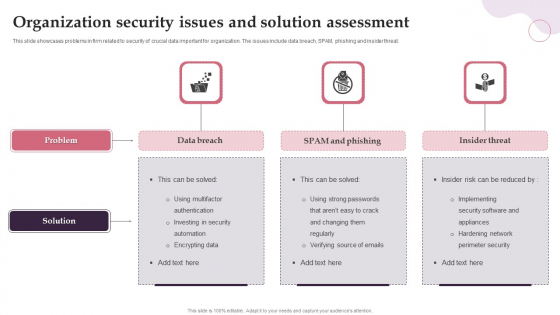 Organization Security Issues And Solution Assessment Ideas PDF
