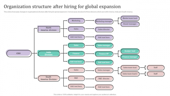 Organization Structure After Hiring For Global Expansion Ppt PowerPoint Presentation Diagram Lists PDF