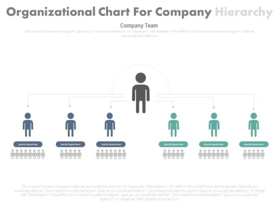 Organization Structure Chart Ppt