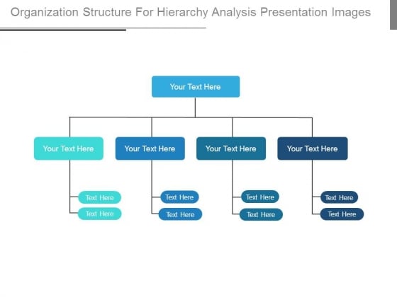 Organization Structure For Hierarchy Analysis Presentation Images Organization Structure For Hierarchy Analysis Presentation Images