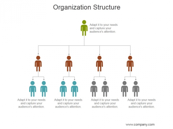 Organization Structure Ppt PowerPoint Presentation Inspiration Organization Structure Ppt PowerPoint Presentation Inspiration