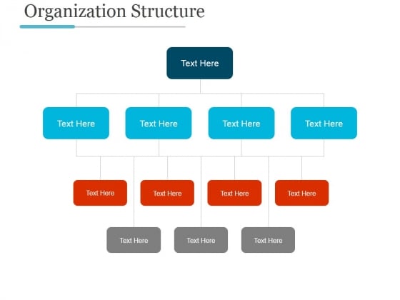 Organization Structure Ppt PowerPoint Presentation Styles - PowerPoint ...