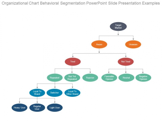 Organizational Chart Behavioral Segmentation Powerpoint Slide Presentation Examples Organizational Chart Behavioral Segmentation Powerpoint Slide Presentation Examples
