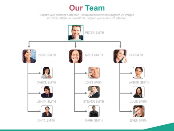Organizational Chart For Business Intelligence Team Powerpoint Slides