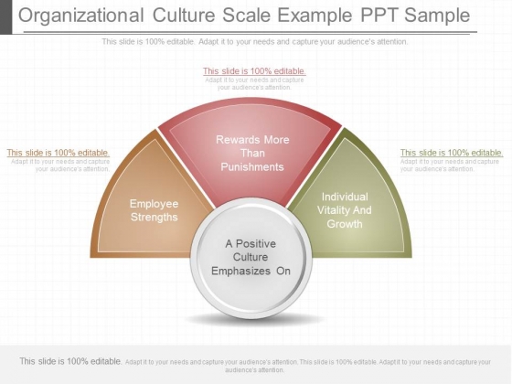 Organizational Culture Scale Example Ppt Sample