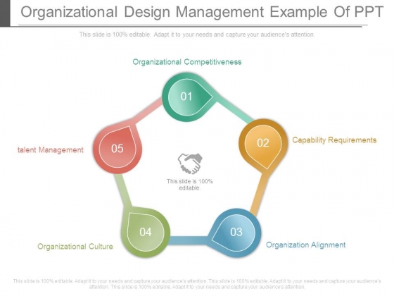 Organizational Design Management Example Of Ppt