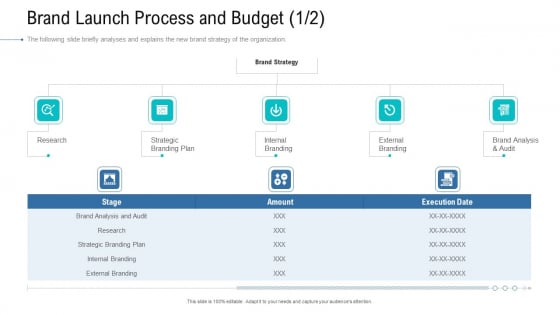 Organizational Development And Promotional Plan Brand Launch Process And Budget Audit Icons PDF Organizational Development And Promotional Plan Brand Launch Process And Budget Audit Icons PDF