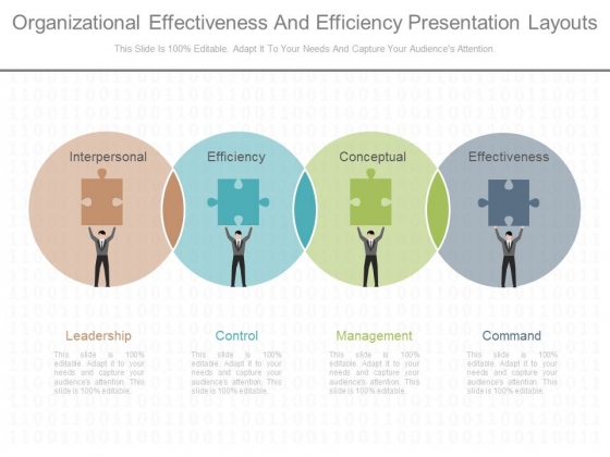 Organizational Effectiveness And Efficiency Presentation Layouts Organizational Effectiveness And Efficiency Presentation Layouts