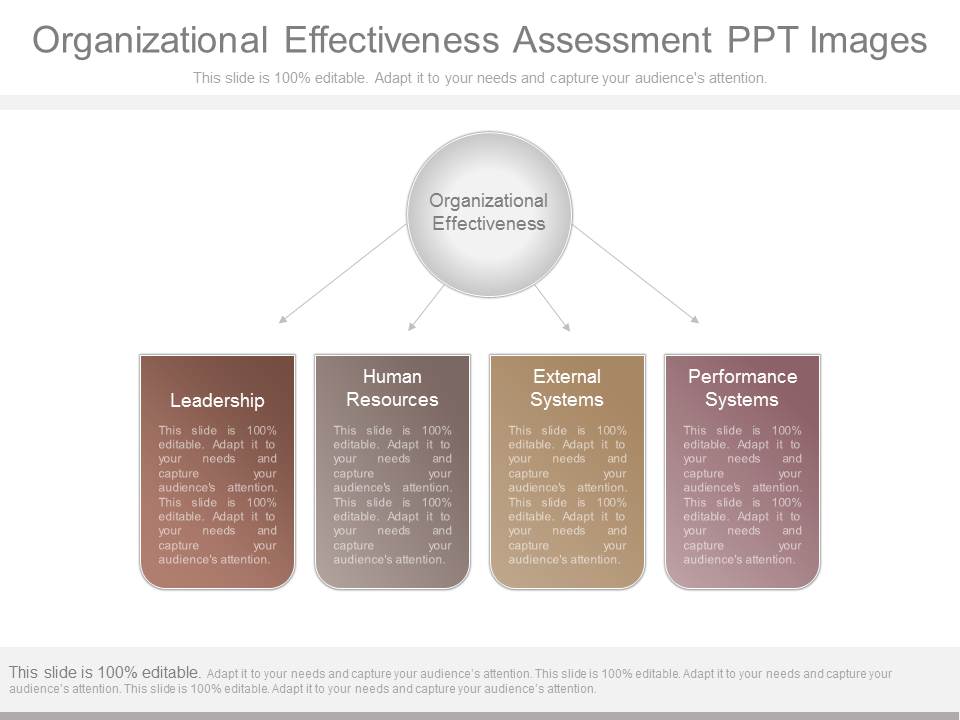 Organizational Effectiveness Assessment Ppt Images - PowerPoint
