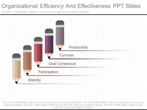 Organizational Efficiency And Effectiveness Ppt Slides