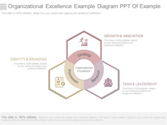 Organizational Excellence Example Diagram Ppt Of Example Organizational Excellence Example Diagram Ppt Of Example
