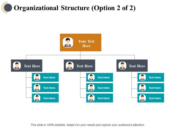 Organizational Structure Management Ppt PowerPoint Presentation Styles Design Templates Organizational Structure Management Ppt PowerPoint Presentation Styles Design Templates