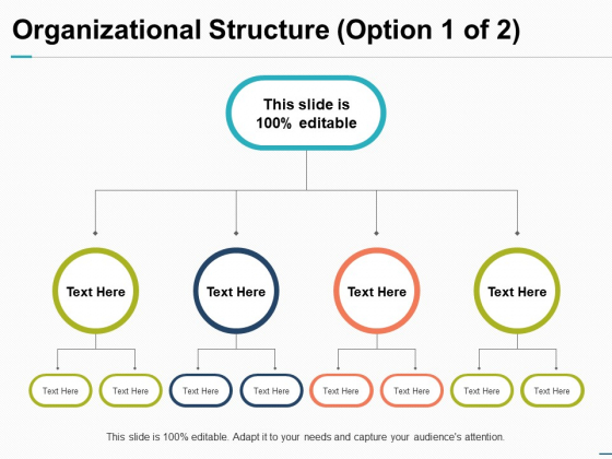 Organizational Structure Option Business Ppt PowerPoint Presentation Show Organizational Structure Option Business Ppt PowerPoint Presentation Show