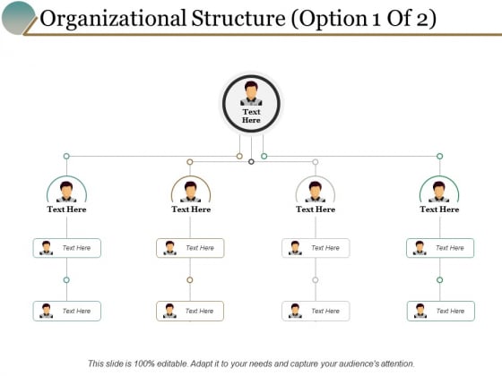 Organizational_Structure_Option_Management_Ppt_PowerPoint_Presentation_Portfolio_Themes_Slide_1