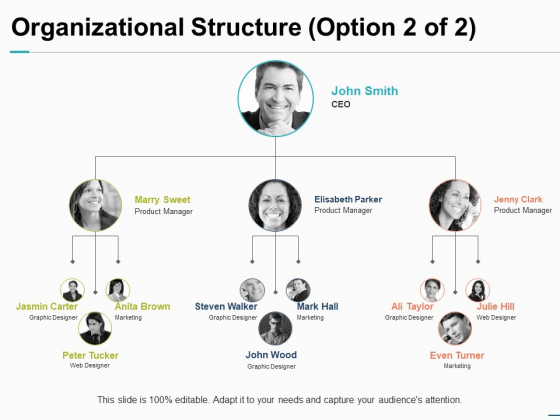 Organizational Structure Option Ppt PowerPoint Presentation Inspiration Objects Organizational Structure Option Ppt PowerPoint Presentation Inspiration Objects