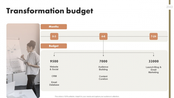 Organizational Transformation Transformation Budget Mockup PDF