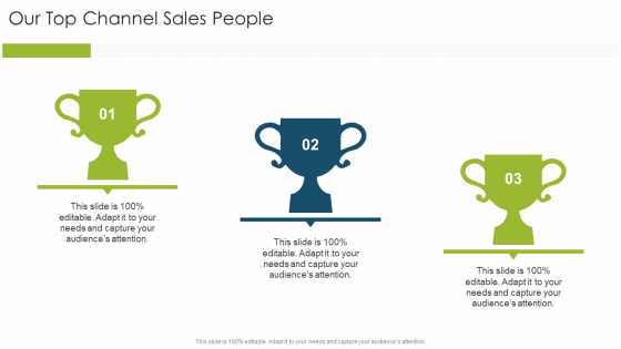 Our Top Channel Sales People Organizational Strategies And Promotion Techniques Professional PDF Our Top Channel Sales People Organizational Strategies And Promotion Techniques Professional PDF