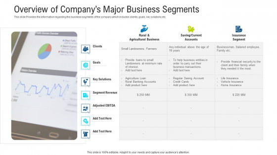 Overview Of Companys Major Business Segments Portrait PDF Overview Of Companys Major Business Segments Portrait PDF
