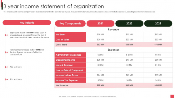 Overview Of Organizational 3 Year Income Statement Of Organization