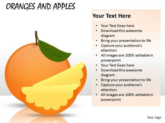 Orange Slices PowerPoint Slides And Ppt Diagram Templates Orange Slices PowerPoint Slides And Ppt Diagram Templates