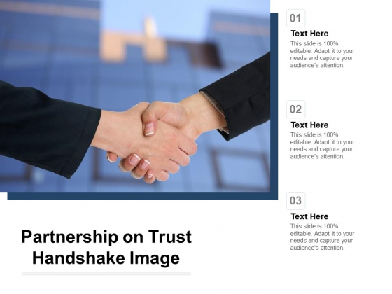 Partnership On Trust Handshake Image Ppt PowerPoint Presentation Styles Example