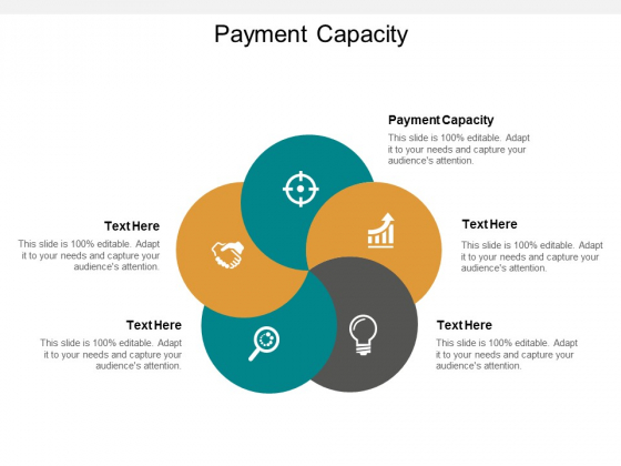 Payment Capacity Ppt PowerPoint Presentation Icon Outfit Cpb