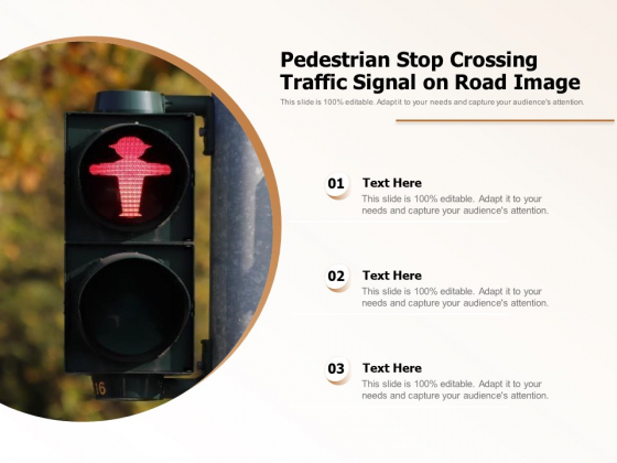 Pedestrian Stop Crossing Traffic Signal On Road Image Ppt PowerPoint Presentation File Background PDF