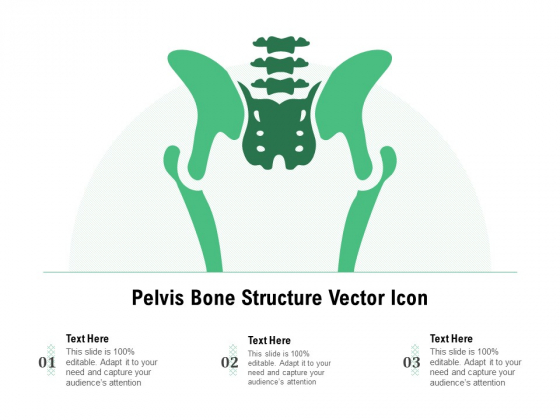 Pelvis Bone Structure Vector Icon Ppt PowerPoint Presentation Gallery Gridlines PDF Pelvis Bone Structure Vector Icon Ppt PowerPoint Presentation Gallery Gridlines PDF