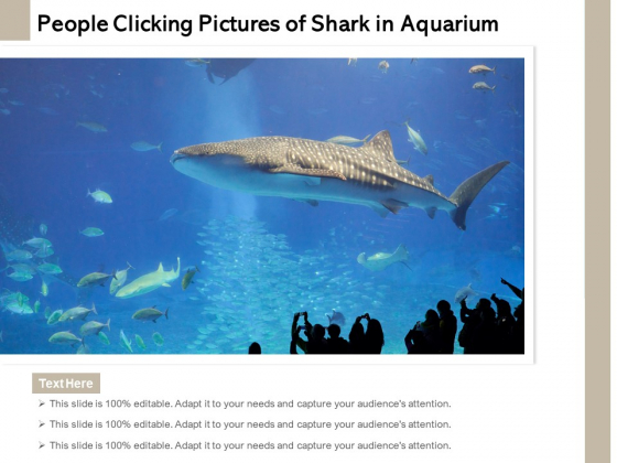 People Clicking Pictures Of Shark In Aquarium Ppt PowerPoint Presentation File Inspiration PDF People Clicking Pictures Of Shark In Aquarium Ppt PowerPoint Presentation File Inspiration PDF