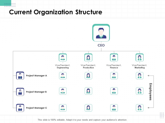 Performance Assessment Current Organization Structure Ppt Inspiration Display PDF Performance Assessment Current Organization Structure Ppt Inspiration Display PDF