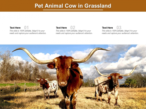 Pet Animal Cow In Grassland Ppt PowerPoint Presentation Icon Graphics Template PDF