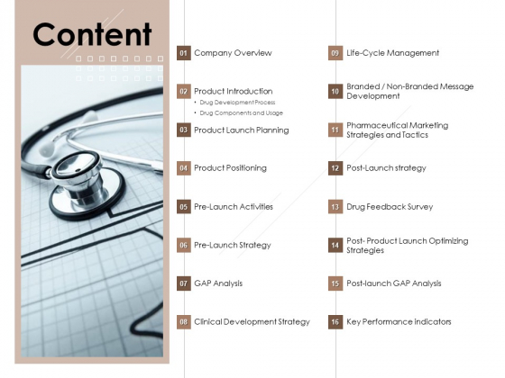 Pharmaceutical Marketing Strategies Content Sample PDF