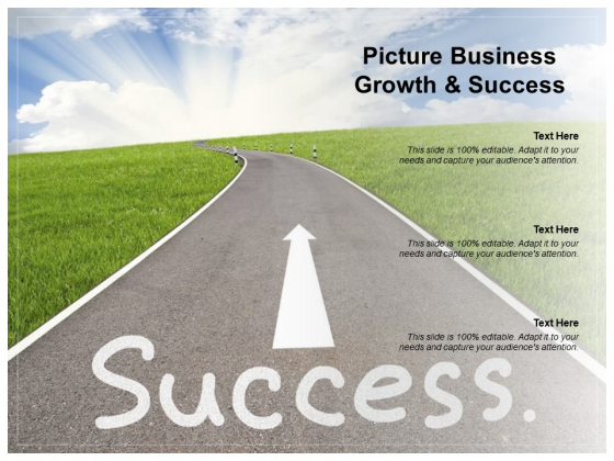 Picture Business Growth And Success Ppt PowerPoint Presentation Show Diagrams Picture Business Growth And Success Ppt PowerPoint Presentation Show Diagrams