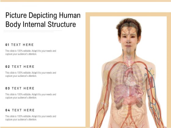 Picture Depicting Human Body Internal Structure Ppt PowerPoint Presentation File Structure PDF Picture Depicting Human Body Internal Structure Ppt PowerPoint Presentation File Structure PDF