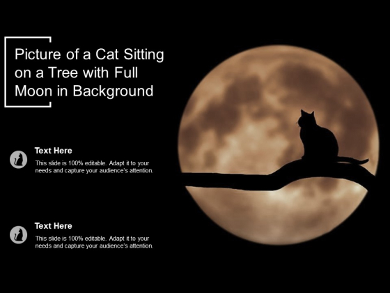 Picture Of A Cat Sitting On A Tree With Full Moon In Background Ppt PowerPoint Presentation Model Information