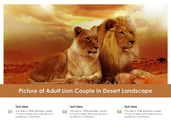 Picture Of Adult Lion Couple In Desert Landscape Ppt PowerPoint Presentation File Ideas PDF