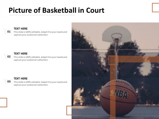 Picture Of Basketball In Court Ppt PowerPoint Presentation Portfolio Background PDF