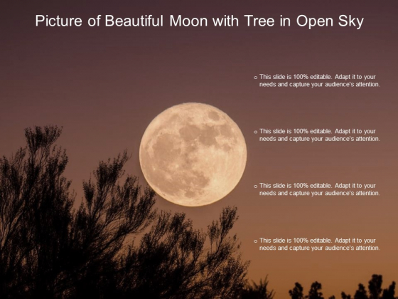 Picture Of Beautiful Moon With Tree In Open Sky Ppt PowerPoint Presentation Icon Show
