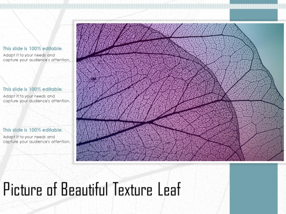 Picture Of Beautiful Texture Leaf Ppt PowerPoint Presentation Styles Model PDF Picture Of Beautiful Texture Leaf Ppt PowerPoint Presentation Styles Model PDF