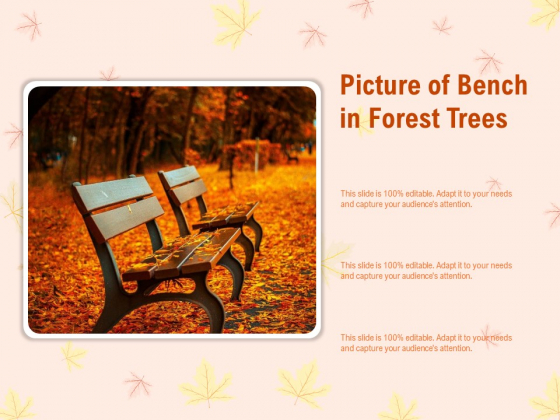 Picture Of Bench In Forest Trees Ppt PowerPoint Presentation Visuals Picture Of Bench In Forest Trees Ppt PowerPoint Presentation Visuals