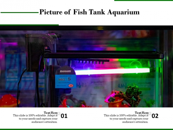 Picture Of Fish Tank Aquarium Ppt PowerPoint Presentation Gallery Microsoft PDF