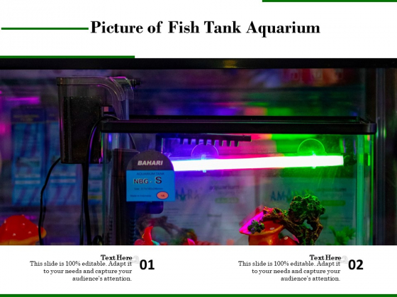 Picture Of Fish Tank Aquarium Ppt PowerPoint Presentation Gallery Microsoft PDF Picture Of Fish Tank Aquarium Ppt PowerPoint Presentation Gallery Microsoft PDF