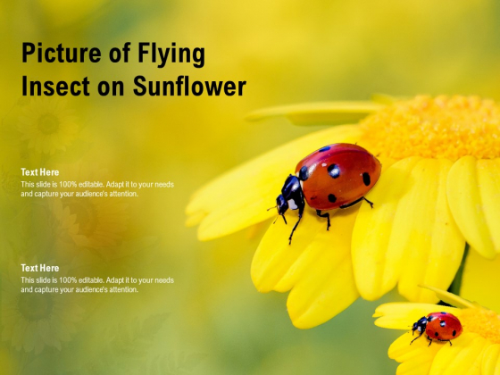 Picture Of Flying Insect On Sunflower Ppt PowerPoint Presentation Visual Aids Example 2015 PDF
