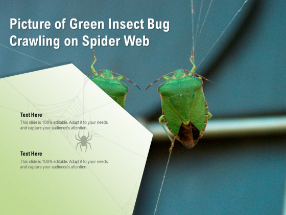 Picture Of Green Insect Bug Crawling On Spider Web Ppt PowerPoint Presentation Layouts Example PDF Picture Of Green Insect Bug Crawling On Spider Web Ppt PowerPoint Presentation Layouts Example PDF