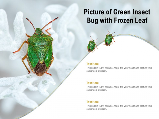 Picture Of Green Insect Bug With Frozen Leaf Ppt PowerPoint Presentation Infographics Example PDF