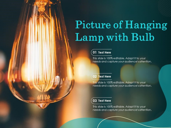 Picture Of Hanging Lamp With Bulb Ppt PowerPoint Presentation File Maker PDF Picture Of Hanging Lamp With Bulb Ppt PowerPoint Presentation File Maker PDF