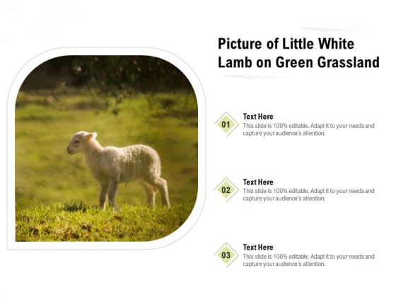 Picture Of Little White Lamb On Green Grassland Ppt PowerPoint Presentation File Layouts PDF Picture Of Little White Lamb On Green Grassland Ppt PowerPoint Presentation File Layouts PDF